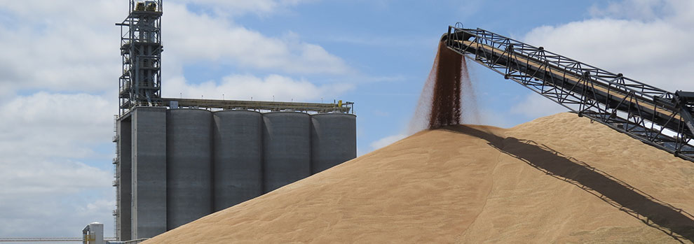 Levels of Automation in Grain Handling Levels of Automation in Grain Handling